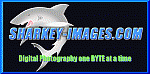 Sharkey-Images's Avatar