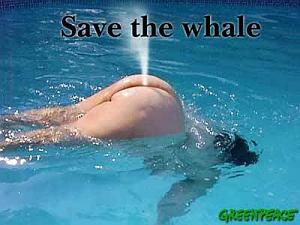 Click image for larger version

Name:	save whale.jpg
Views:	208
Size:	16.4 KB
ID:	10137
