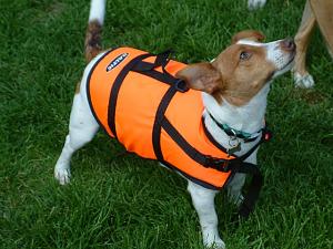 Click image for larger version

Name:	canine life jacket.jpg
Views:	299
Size:	82.9 KB
ID:	1173