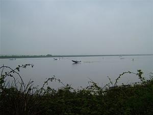 Click image for larger version

Name:	Dan Boat Race Combwich 010.jpg
Views:	232
Size:	42.7 KB
ID:	15832