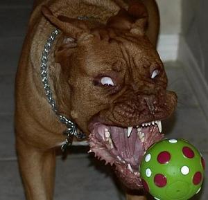 Click image for larger version

Name:	uglydogface.jpg
Views:	139
Size:	29.4 KB
ID:	16911