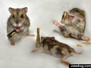 Click image for larger version

Name:	hamster.jpg
Views:	196
Size:	22.0 KB
ID:	2876