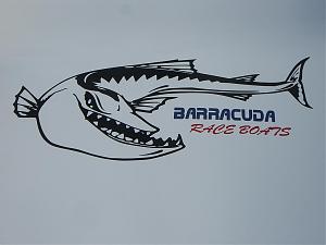 Click image for larger version

Name:	barracuda race boats 002.jpg
Views:	164
Size:	52.6 KB
ID:	29233