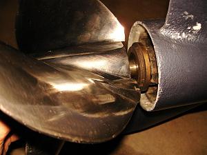 Click image for larger version

Name:	thrust washer Yamaha - prop retracted on shaft.jpg
Views:	765
Size:	92.6 KB
ID:	39476
