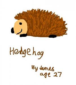 Click image for larger version

Name:	hedgehog.jpg
Views:	183
Size:	16.2 KB
ID:	4691