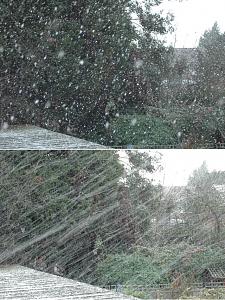 Click image for larger version

Name:	snow.jpg
Views:	333
Size:	171.2 KB
ID:	6601